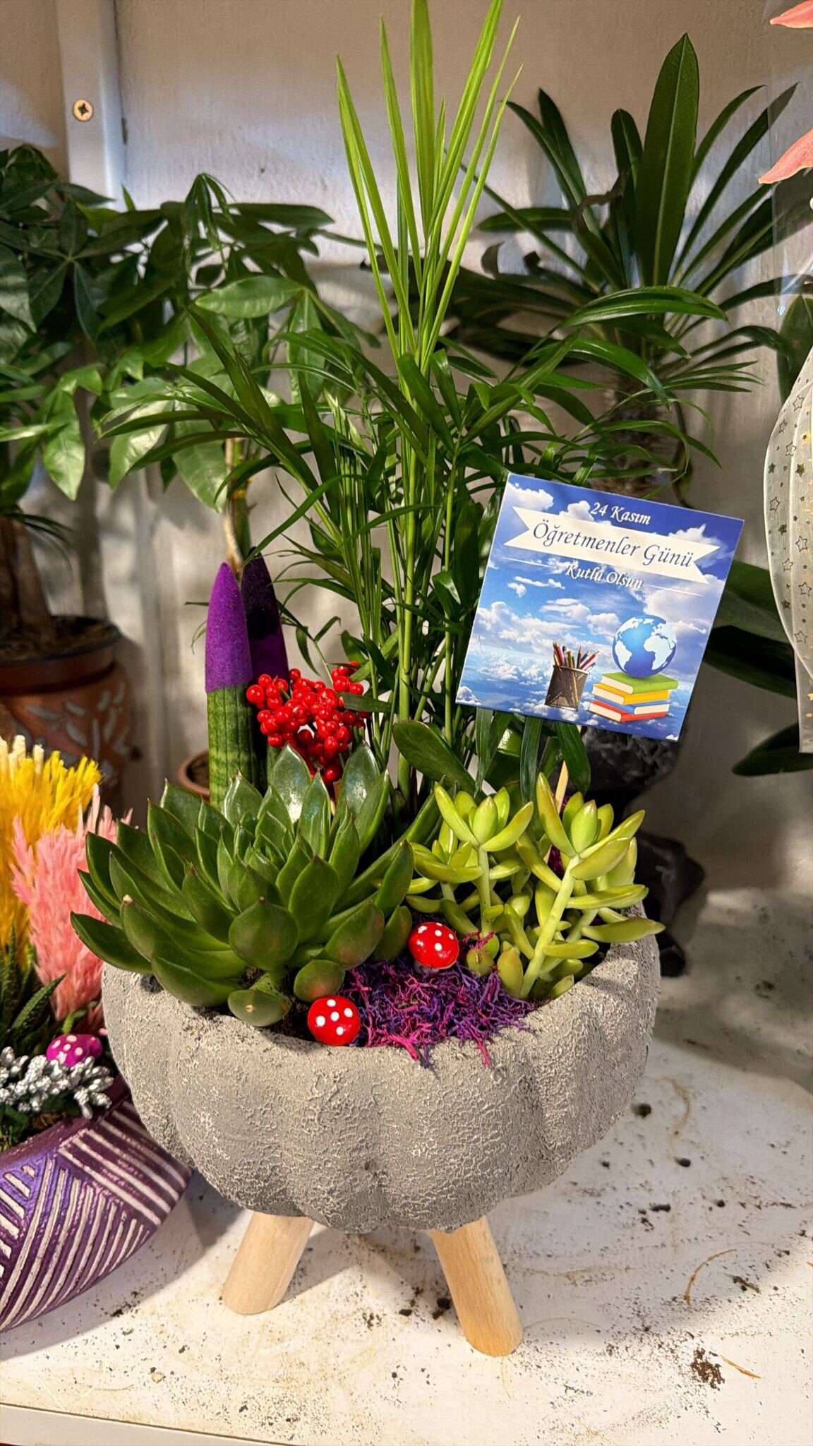 Öğretmenler Günü Öncesi Muğla'da Çiçekçilerde Yoğunluk: Karanfil ve Orkide Zirvede 6